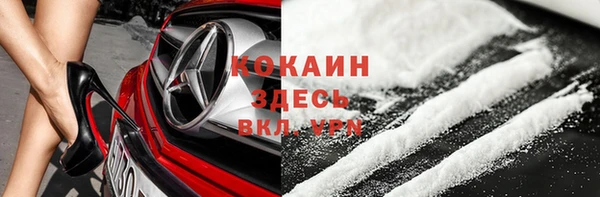 стафф Вязьма
