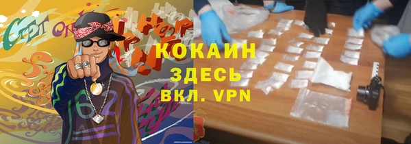 прущие грибы Елабуга