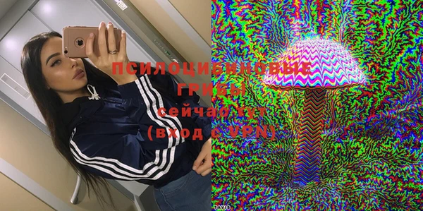 марки nbome Ельня