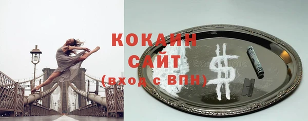 стафф Вязьма