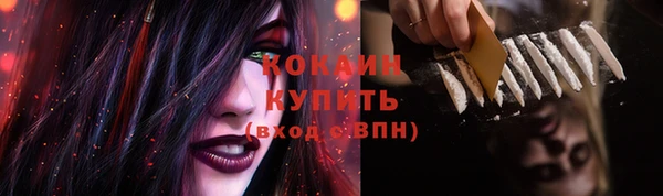 прущие грибы Елабуга