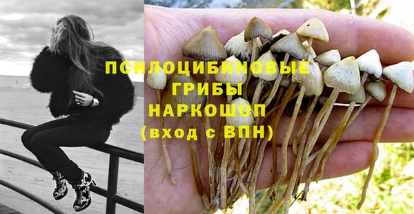 марки nbome Ельня