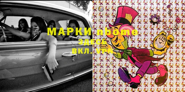 стафф Вязьма