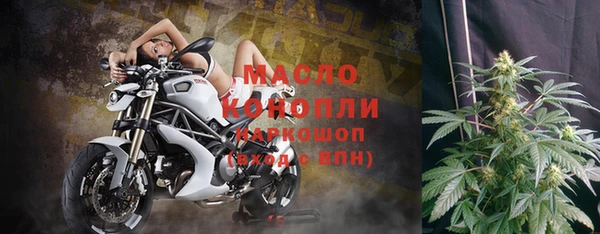стафф Вязьма