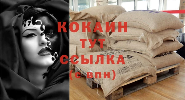стафф Вязьма