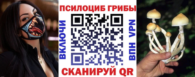 Псилоцибиновые грибы мухоморы  Купить  Курлово 